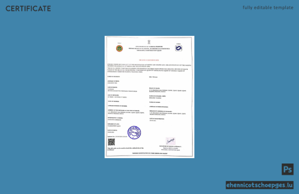 Vorschau einer Sterbeurkunde der Regierung von Madhya Pradesh, Indien
